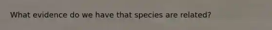 What evidence do we have that species are related?