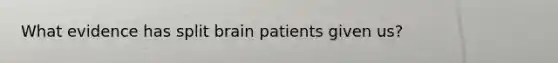 What evidence has split brain patients given us?