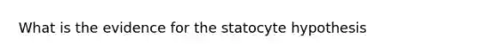 What is the evidence for the statocyte hypothesis