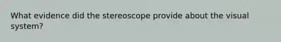 What evidence did the stereoscope provide about the visual system?