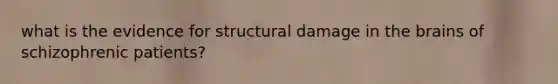 what is the evidence for structural damage in the brains of schizophrenic patients?