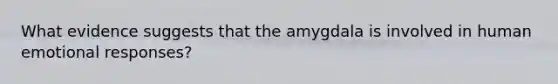 What evidence suggests that the amygdala is involved in human emotional responses?