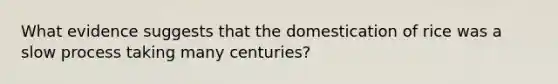 What evidence suggests that the domestication of rice was a slow process taking many centuries?