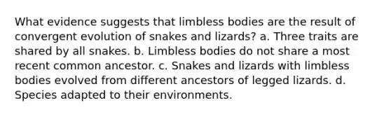 What evidence suggests that limbless bodies are the result of convergent evolution of snakes and lizards? a. Three traits are shared by all snakes. b. Limbless bodies do not share a most recent common ancestor. c. Snakes and lizards with limbless bodies evolved from different ancestors of legged lizards. d. Species adapted to their environments.