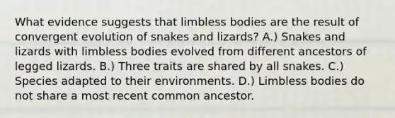 What evidence suggests that limbless bodies are the result of convergent evolution of snakes and lizards? A.) Snakes and lizards with limbless bodies evolved from different ancestors of legged lizards. B.) Three traits are shared by all snakes. C.) Species adapted to their environments. D.) Limbless bodies do not share a most recent common ancestor.