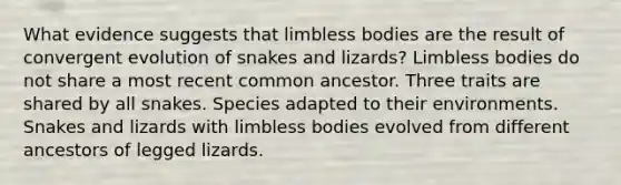 What evidence suggests that limbless bodies are the result of convergent evolution of snakes and lizards? Limbless bodies do not share a most recent common ancestor. Three traits are shared by all snakes. Species adapted to their environments. Snakes and lizards with limbless bodies evolved from different ancestors of legged lizards.