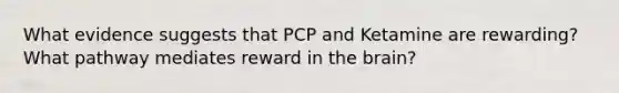 What evidence suggests that PCP and Ketamine are rewarding? What pathway mediates reward in the brain?