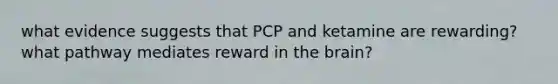 what evidence suggests that PCP and ketamine are rewarding? what pathway mediates reward in the brain?