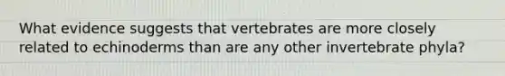 What evidence suggests that vertebrates are more closely related to echinoderms than are any other invertebrate phyla?