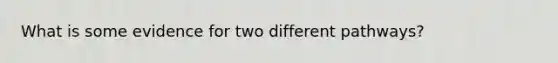 What is some evidence for two different pathways?