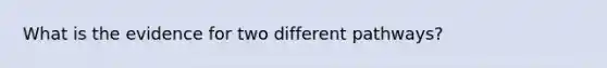 What is the evidence for two different pathways?