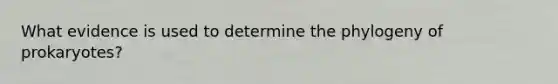 What evidence is used to determine the phylogeny of prokaryotes?