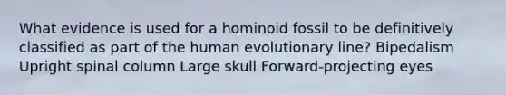 What evidence is used for a hominoid fossil to be definitively classified as part of the human evolutionary line? Bipedalism Upright spinal column Large skull Forward-projecting eyes