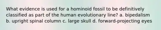 What evidence is used for a hominoid fossil to be definitively classified as part of the human evolutionary line? a. bipedalism b. upright spinal column c. large skull d. forward-projecting eyes