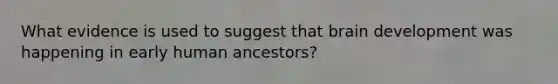 What evidence is used to suggest that brain development was happening in early human ancestors?