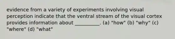 evidence from a variety of experiments involving visual perception indicate that the ventral stream of the visual cortex provides information about __________. (a) "how" (b) "why" (c) "where" (d) "what"