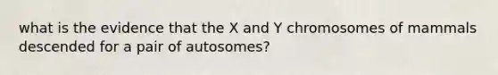 what is the evidence that the X and Y chromosomes of mammals descended for a pair of autosomes?