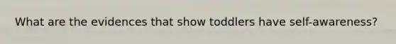 What are the evidences that show toddlers have self-awareness?