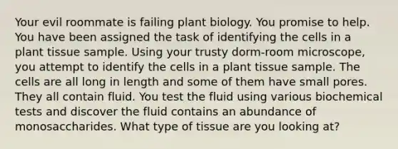 Your evil roommate is failing plant biology. You promise to help. You have been assigned the task of identifying the cells in a plant tissue sample. Using your trusty dorm-room microscope, you attempt to identify the cells in a plant tissue sample. The cells are all long in length and some of them have small pores. They all contain fluid. You test the fluid using various biochemical tests and discover the fluid contains an abundance of monosaccharides. What type of tissue are you looking at?