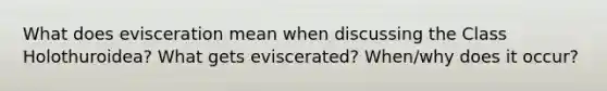 What does evisceration mean when discussing the Class Holothuroidea? What gets eviscerated? When/why does it occur?