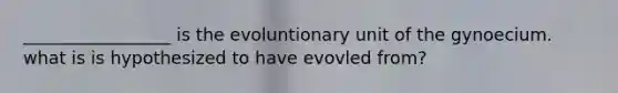 _________________ is the evoluntionary unit of the gynoecium. what is is hypothesized to have evovled from?