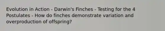 Evolution in Action - Darwin's Finches - Testing for the 4 Postulates - How do finches demonstrate variation and overproduction of offspring?