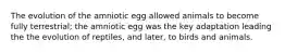 The evolution of the amniotic egg allowed animals to become fully terrestrial; the amniotic egg was the key adaptation leading the the evolution of reptiles, and later, to birds and animals.