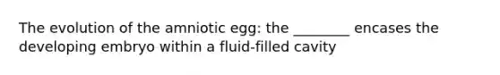 The evolution of the amniotic egg: the ________ encases the developing embryo within a fluid-filled cavity