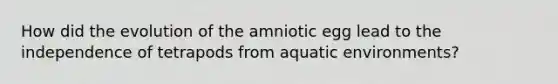 How did the evolution of the amniotic egg lead to the independence of tetrapods from aquatic environments?