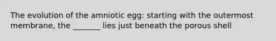 The evolution of the amniotic egg: starting with the outermost membrane, the _______ lies just beneath the porous shell