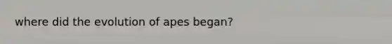 where did the evolution of apes began?
