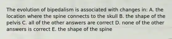 The evolution of bipedalism is associated with changes in: A. the location where the spine connects to the skull B. the shape of the pelvis C. all of the other answers are correct D. none of the other answers is correct E. the shape of the spine