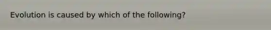 Evolution is caused by which of the following?