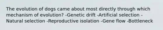 The evolution of dogs came about most directly through which mechanism of evolution? -Genetic drift -Artificial selection -Natural selection -Reproductive isolation -Gene flow -Bottleneck