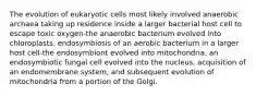 The evolution of eukaryotic cells most likely involved anaerobic archaea taking up residence inside a larger bacterial host cell to escape toxic oxygen-the anaerobic bacterium evolved into chloroplasts. endosymbiosis of an aerobic bacterium in a larger host cell-the endosymbiont evolved into mitochondria. an endosymbiotic fungal cell evolved into the nucleus. acquisition of an endomembrane system, and subsequent evolution of mitochondria from a portion of the Golgi.