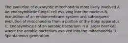 The evolution of eukaryotic mitochondria most likely involved A. An endosymbiotic fungal cell evolving into the nucleus B. Acquisition of an endomembrane system and subsequent evolution of mitochondria from a portion of the Golgi apparatus C. Endosymbiosis of an aerobic bacterium in a larger host cell where the aerobic bacterium evolved into the mitochondria D. Spontaneous generation