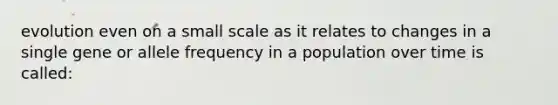 evolution even on a small scale as it relates to changes in a single gene or allele frequency in a population over time is called: