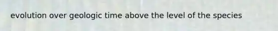 evolution over geologic time above the level of the species