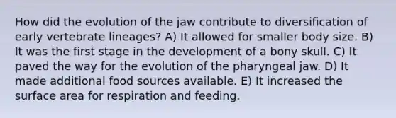 How did the evolution of the jaw contribute to diversification of early vertebrate lineages? A) It allowed for smaller body size. B) It was the first stage in the development of a bony skull. C) It paved the way for the evolution of the pharyngeal jaw. D) It made additional food sources available. E) It increased the surface area for respiration and feeding.