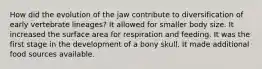 How did the evolution of the jaw contribute to diversification of early vertebrate lineages? It allowed for smaller body size. It increased the surface area for respiration and feeding. It was the first stage in the development of a bony skull. It made additional food sources available.