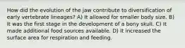 How did the evolution of the jaw contribute to diversification of early vertebrate lineages? A) It allowed for smaller body size. B) It was the first stage in the development of a bony skull. C) It made additional food sources available. D) It increased the surface area for respiration and feeding.