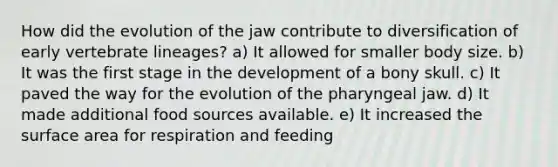 How did the evolution of the jaw contribute to diversification of early vertebrate lineages? a) It allowed for smaller body size. b) It was the first stage in the development of a bony skull. c) It paved the way for the evolution of the pharyngeal jaw. d) It made additional food sources available. e) It increased the surface area for respiration and feeding