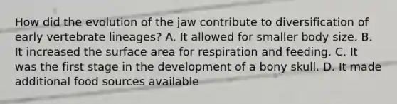 How did the evolution of the jaw contribute to diversification of early vertebrate lineages? A. It allowed for smaller body size. B. It increased the surface area for respiration and feeding. C. It was the first stage in the development of a bony skull. D. It made additional food sources available