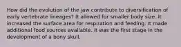 How did the evolution of the jaw contribute to diversification of early vertebrate lineages? It allowed for smaller body size. It increased the surface area for respiration and feeding. It made additional food sources available. It was the first stage in the development of a bony skull.