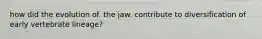 how did the evolution of. the jaw. contribute to diversification of early vertebrate lineage?