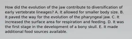 How did the evolution of the jaw contribute to diversification of early vertebrate lineages? A. It allowed for smaller body size. B. It paved the way for the evolution of the pharyngeal jaw. C. It increased the surface area for respiration and feeding. D. It was the first stage in the development of a bony skull. E. It made additional food sources available.