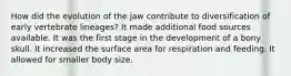 How did the evolution of the jaw contribute to diversification of early vertebrate lineages? It made additional food sources available. It was the first stage in the development of a bony skull. It increased the surface area for respiration and feeding. It allowed for smaller body size.