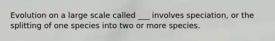 Evolution on a large scale called ___ involves speciation, or the splitting of one species into two or more species.