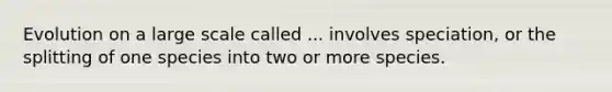 Evolution on a large scale called ... involves speciation, or the splitting of one species into two or more species.