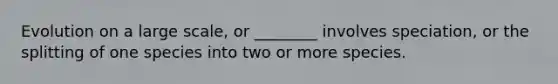 Evolution on a large scale, or ________ involves speciation, or the splitting of one species into two or more species.